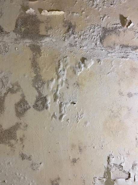Water Damage Restoration in Mount Vernon, GA